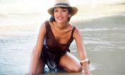 Liz Stewart