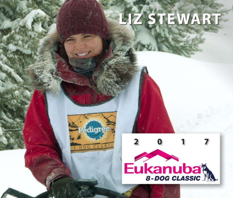 Liz Stewart