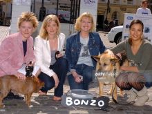 Liza Goddard