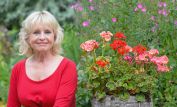 Liza Goddard