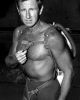 Lloyd Bridges