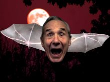 Lloyd Kaufman