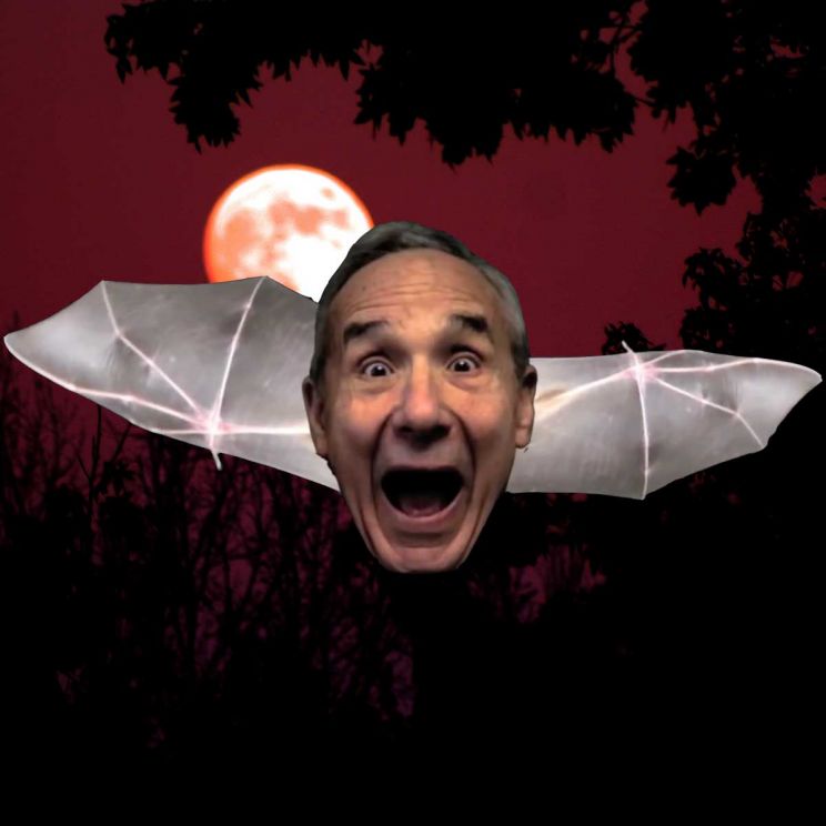 Lloyd Kaufman