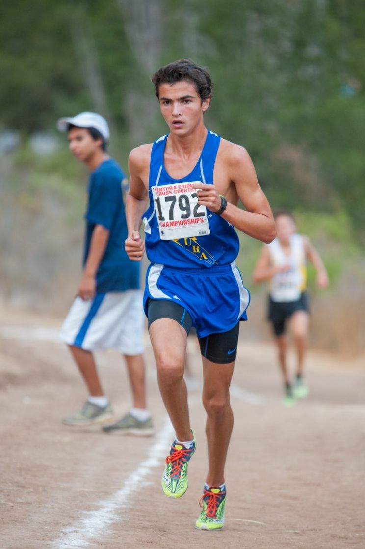 Logan Grove