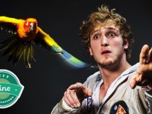 Logan Paul