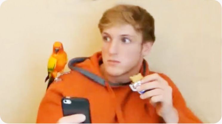 Logan Paul