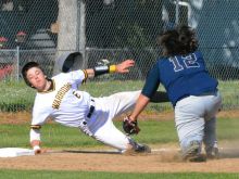 Logan Williams