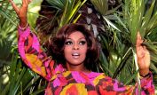 Lola Falana