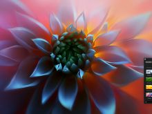 Lola Reve photo