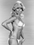 Loni Anderson