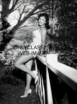 Lori Saunders photo