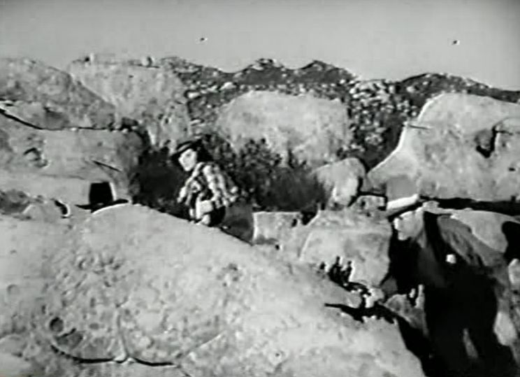 Lorna Gray