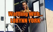 Lorynn York