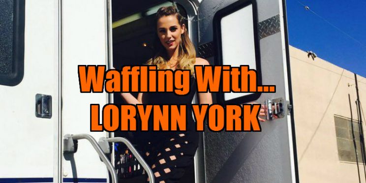 Lorynn York