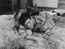 Lou Costello #689788 picture (Landscape Medium)