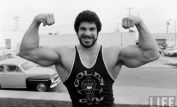 Lou Ferrigno