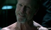 Louis Herthum