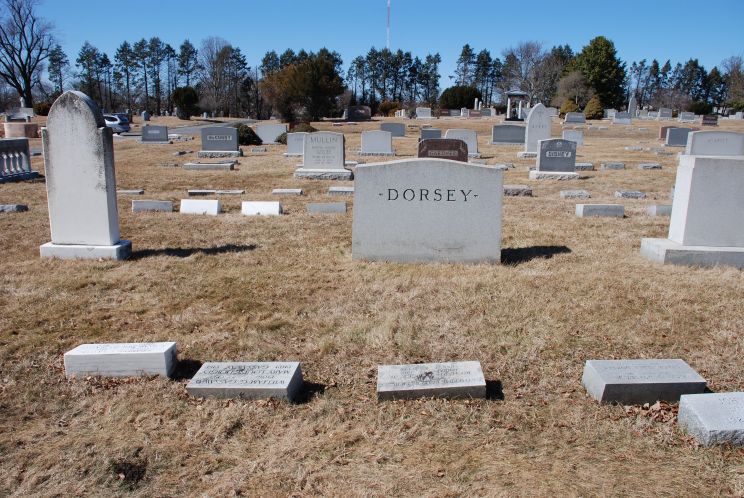 Louise Dorsey