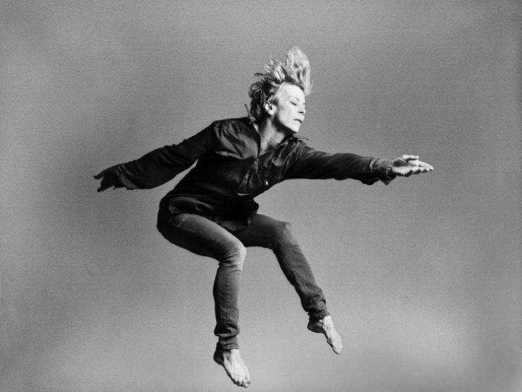 Louise LeCavalier