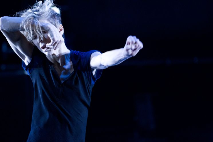 Louise LeCavalier