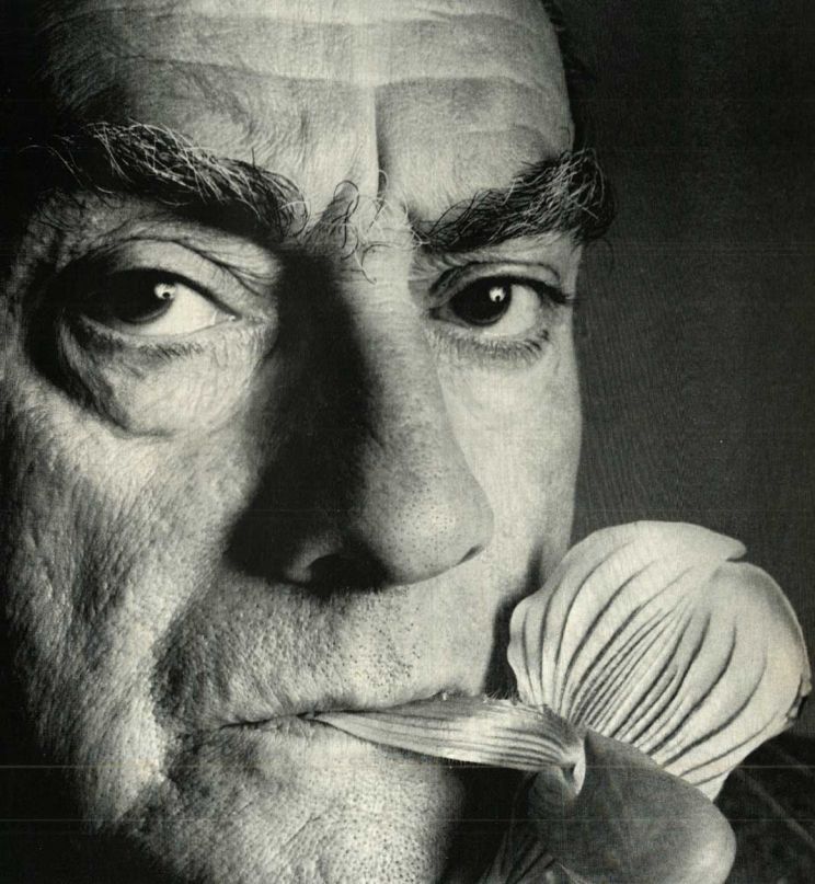 Luchino Visconti