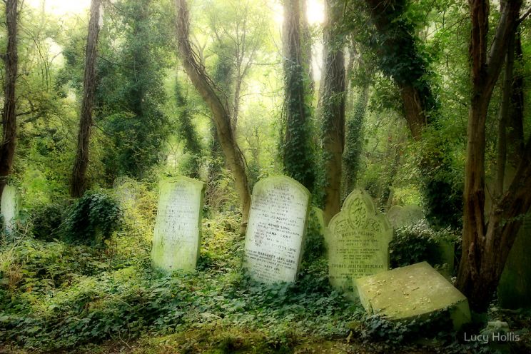 Lucy Hollis