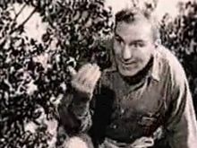 Lugene Sanders