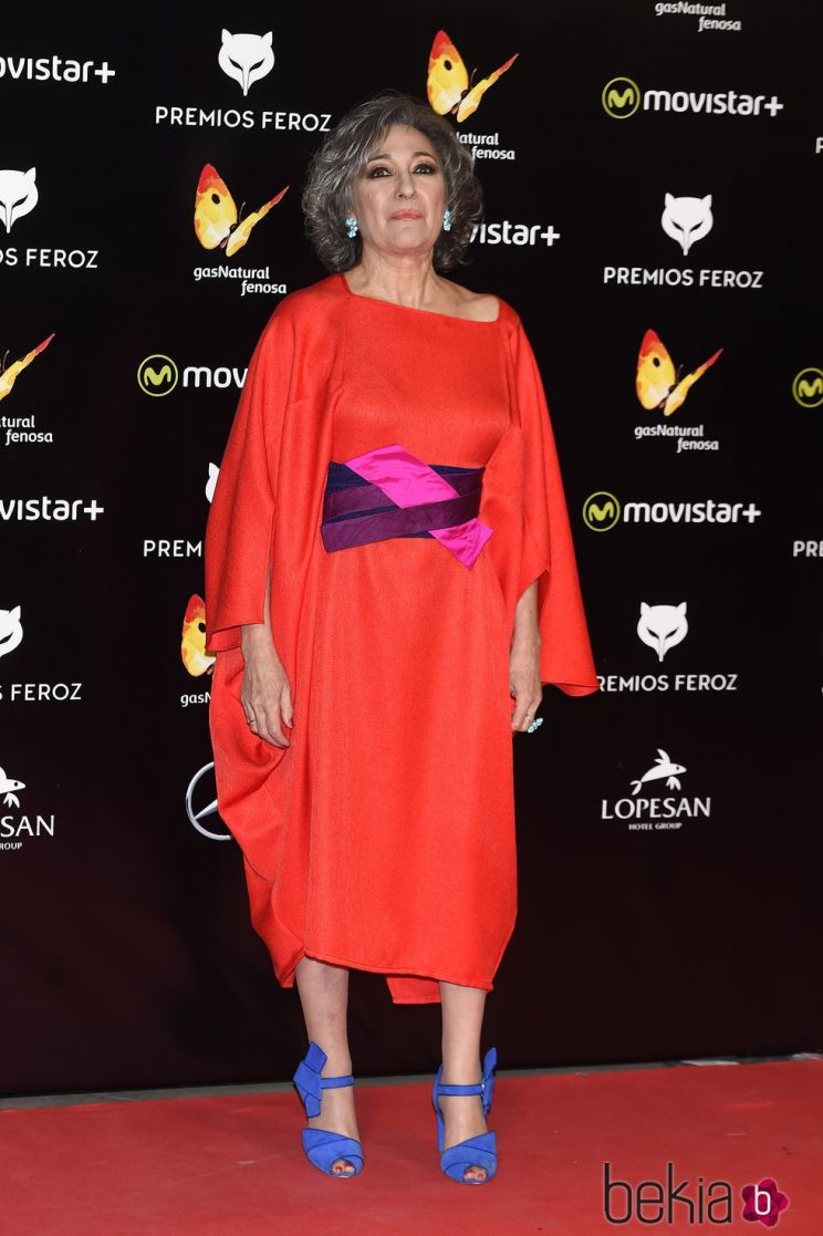 Luisa Gavasa