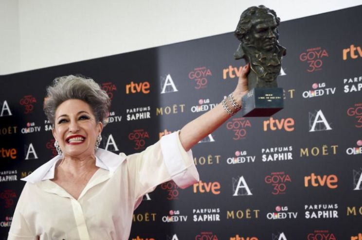 Luisa Gavasa