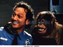 Luke Greenfield