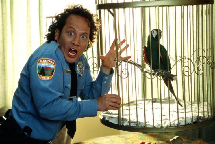Luke Greenfield