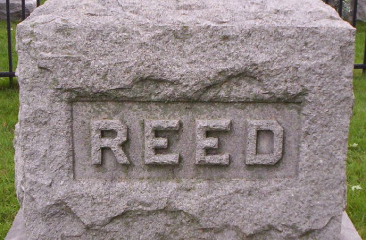 Lydia Reed
