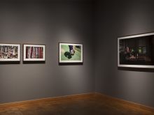 Lynette McCarthy #3557802 picture (Landscape Medium)