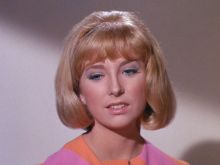 Lynette Mettey #2253408 picture (Landscape Medium)