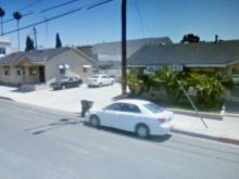 Lynette Mettey #2253422 picture (Landscape Medium)