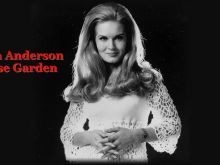 Lynn Anderson