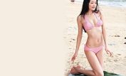 Lynn Hung