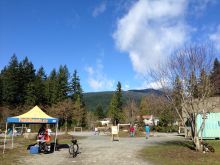 Lynne Valley