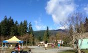Lynne Valley