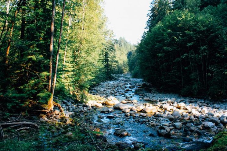 Lynne Valley