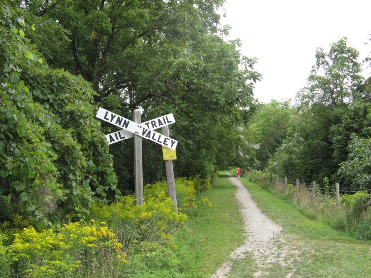Lynne Valley