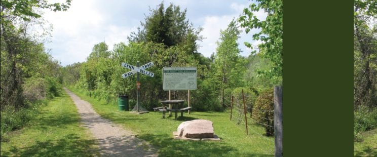Lynne Valley