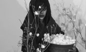 M. Lamar