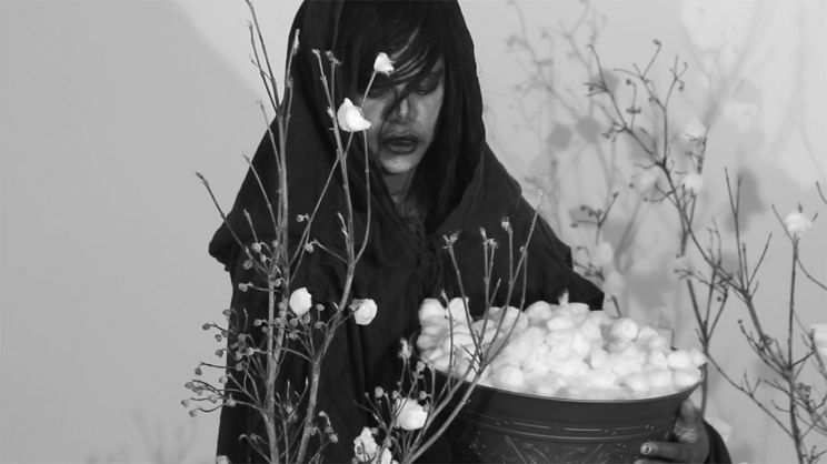 M. Lamar