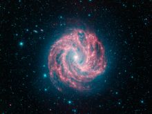 M83