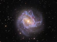 M83