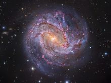 M83