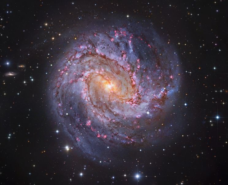 M83