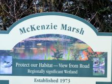 Mackenzie Marsh