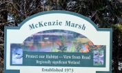 Mackenzie Marsh